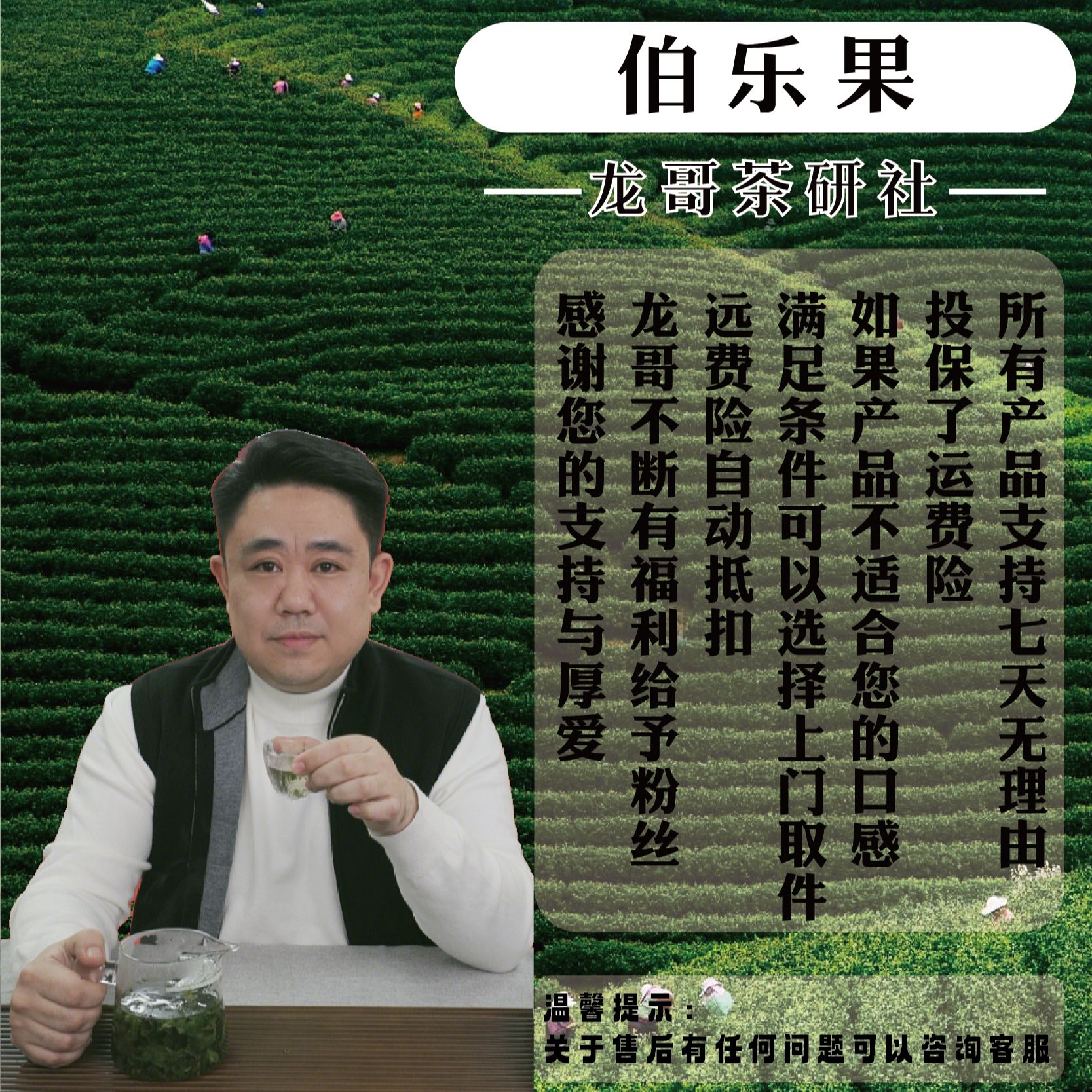 [龙哥说茶]茶香满园  伯乐果