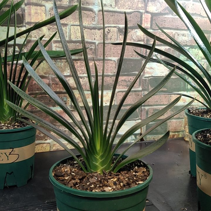 完全开放1111111111