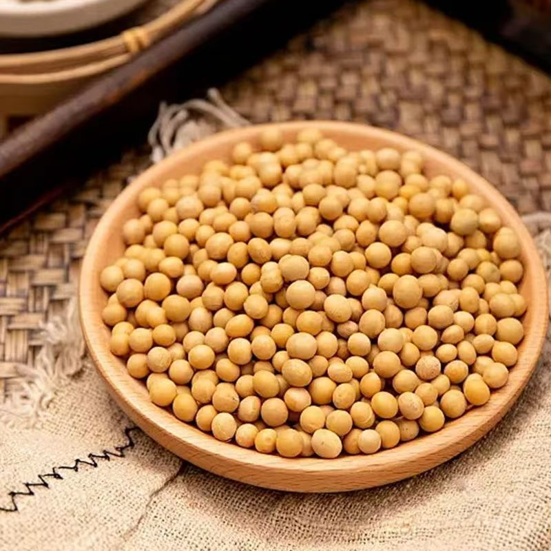 甄选好物农家黄豆珍藏500g  秋天专属