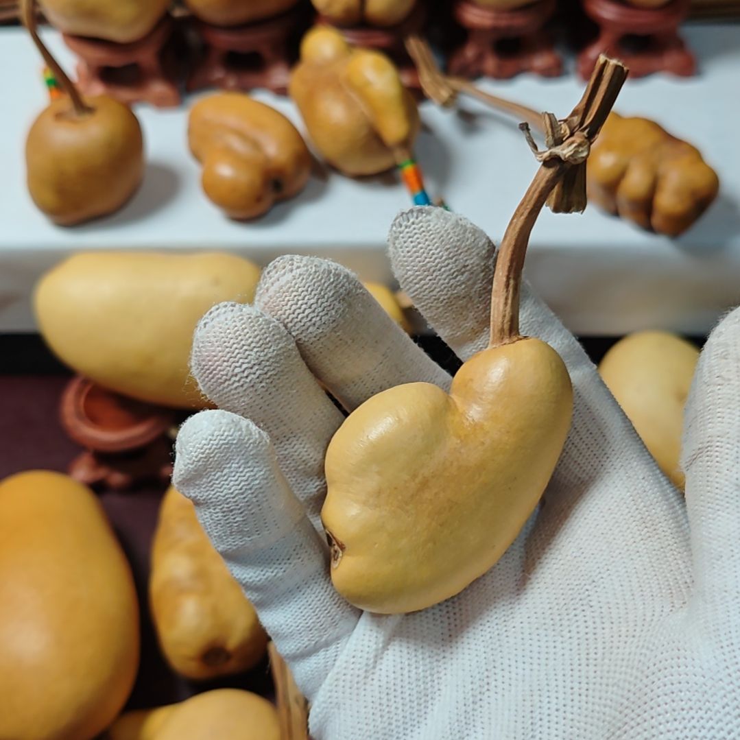 一***记精品土豆葫芦一物一拍