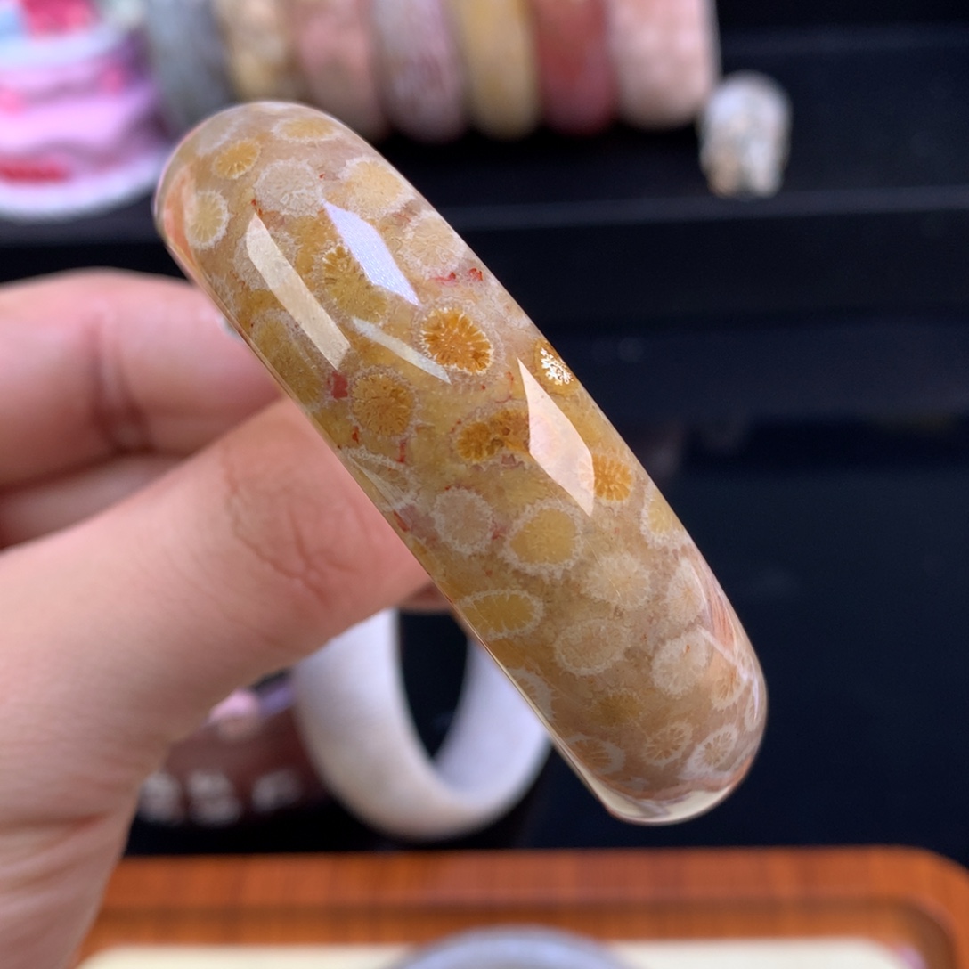 硅化珊瑚（珊瑚玉）未镶嵌颈饰100号柠檬片55.9圈