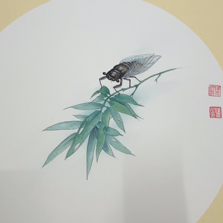 国画花鸟等多种鸟类和鸟类