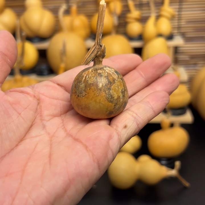 人****^55669999996666699999