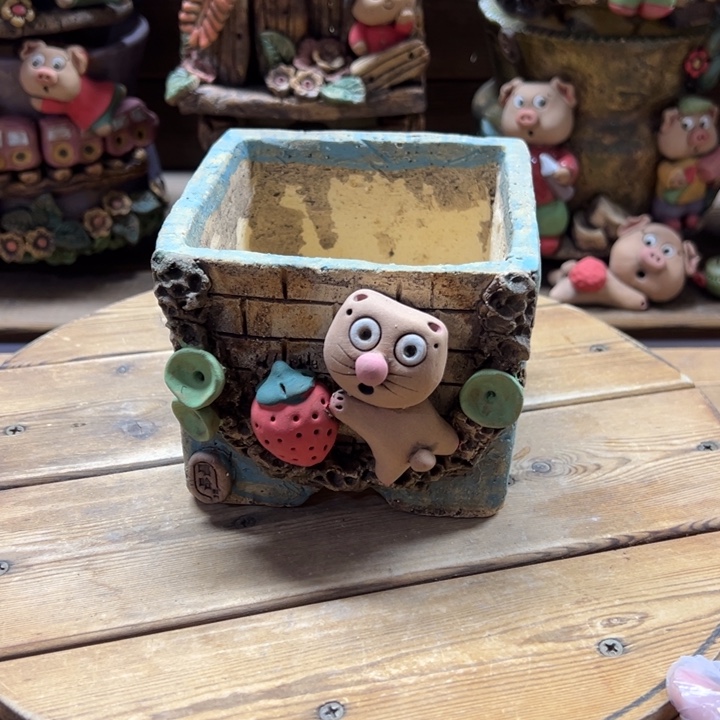 嘻哈多肉花盆百搭