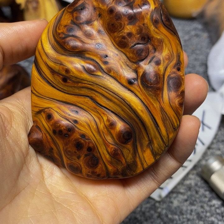 柏木（崖柏）崖柏123