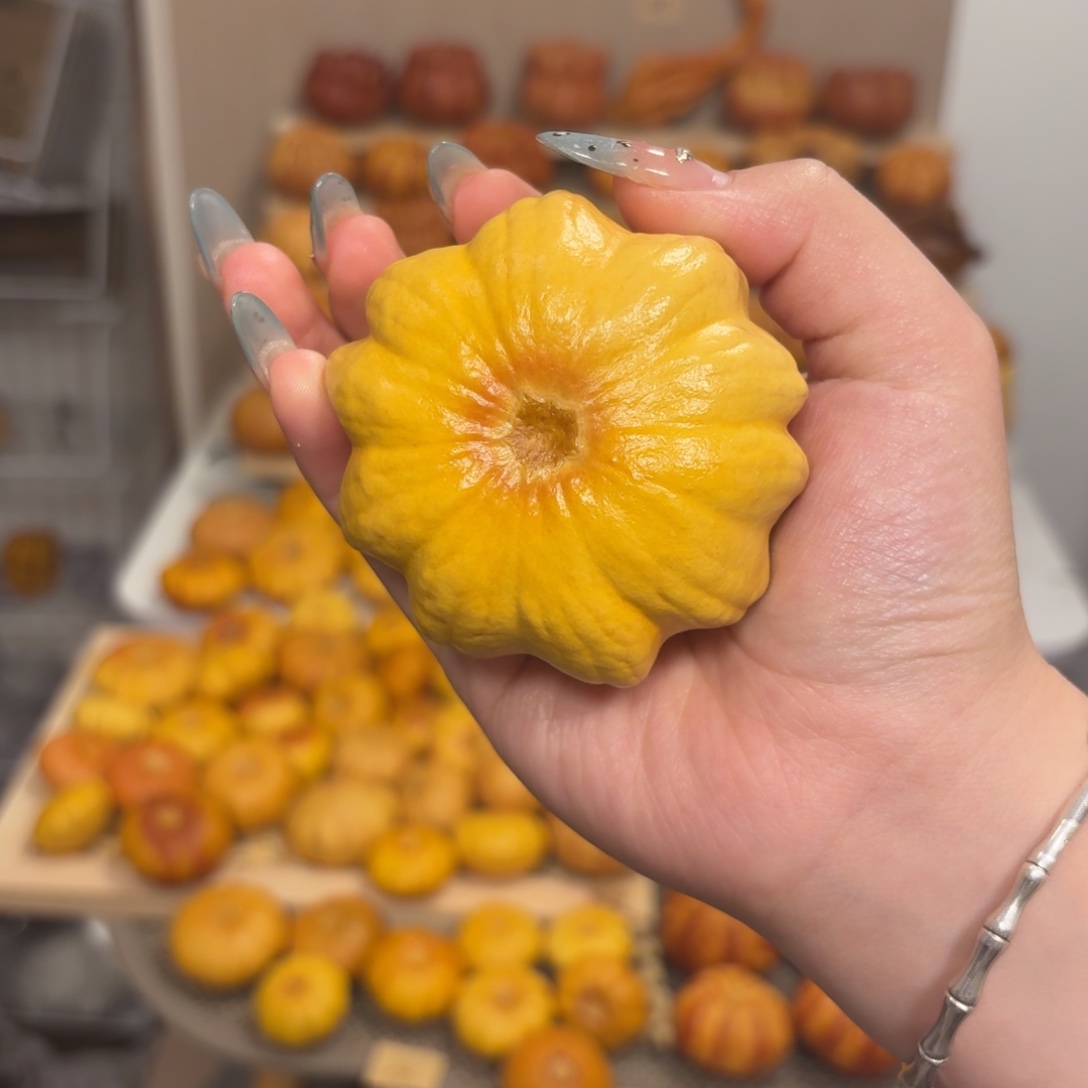 墨西哥hl双色小胖花