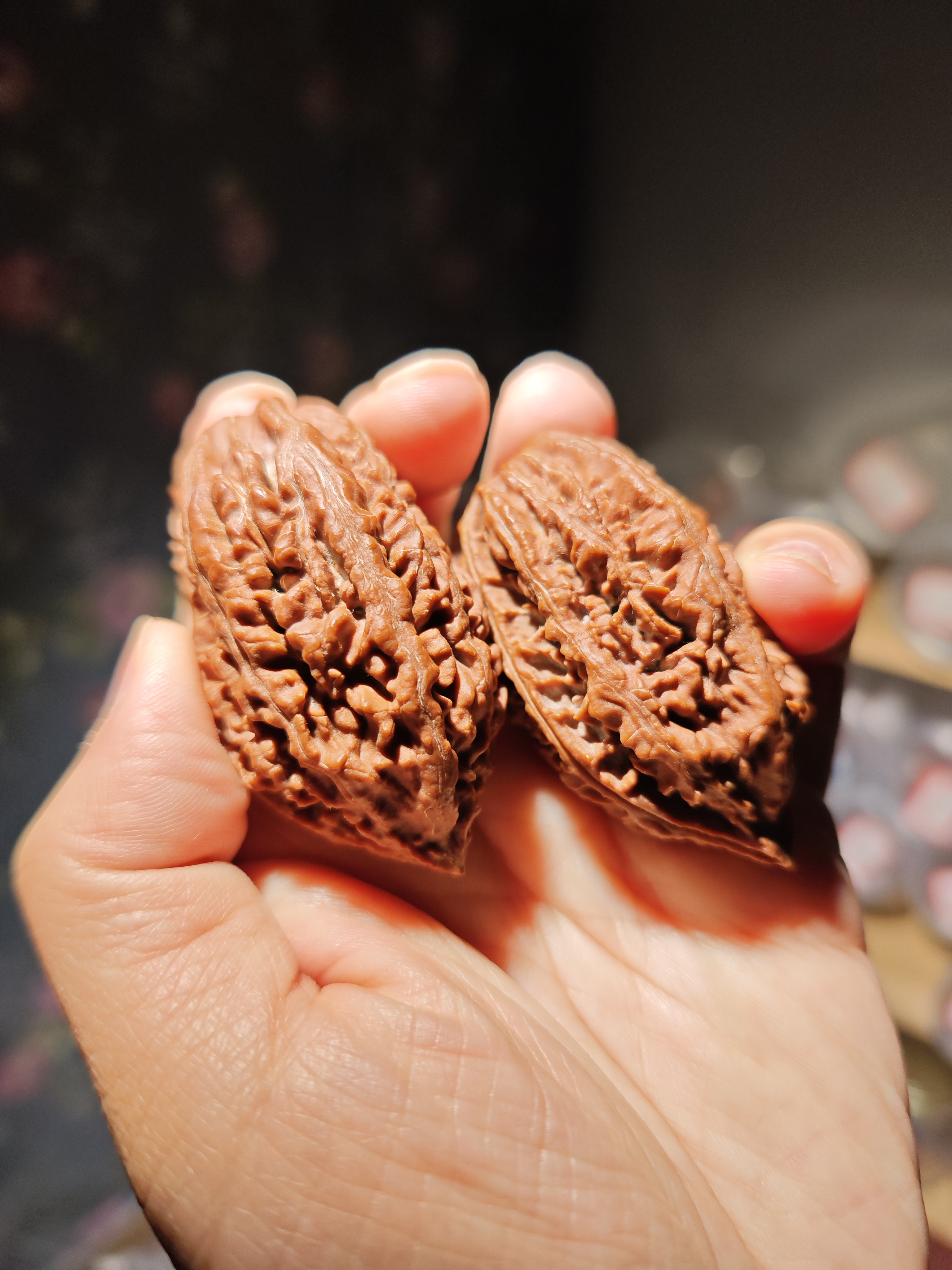 东北野生楸子核桃，，名楸老树梅花刺，58高