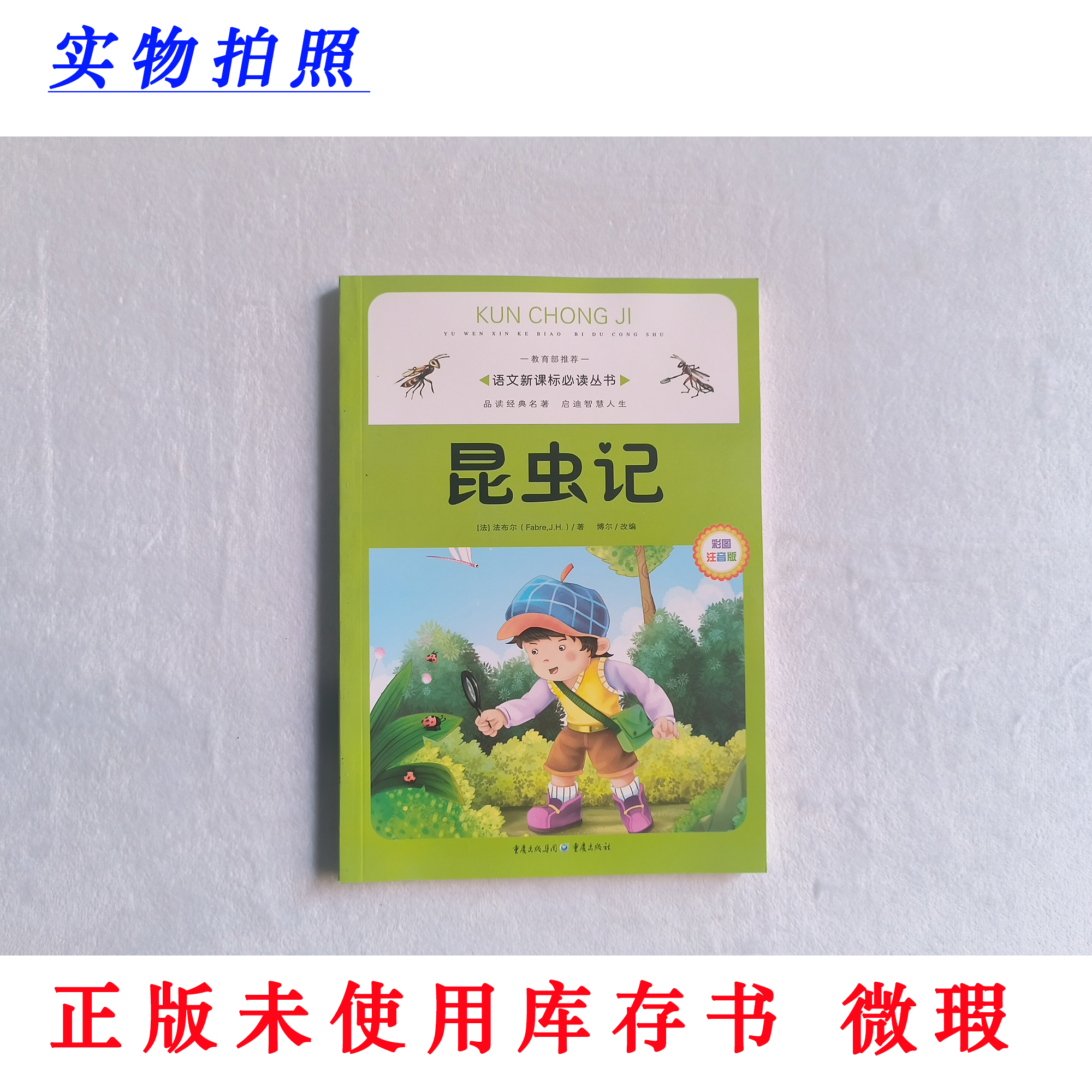 【正版未使用 微瑕】 昆虫记 彩图注音版 语文新课标必读丛书