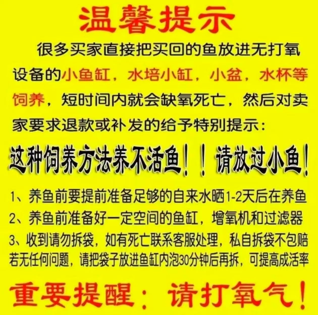 1-100号普身蝴蝶鲤各色锦鲤