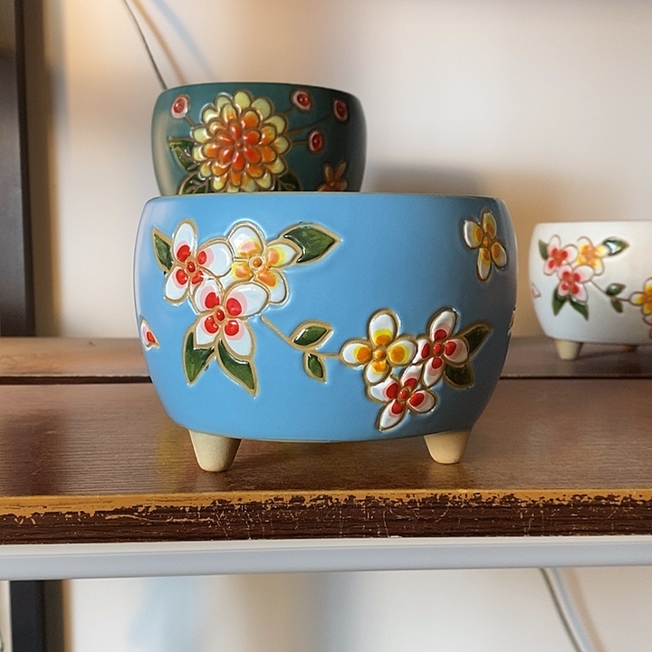 韩式多肉植物花盆