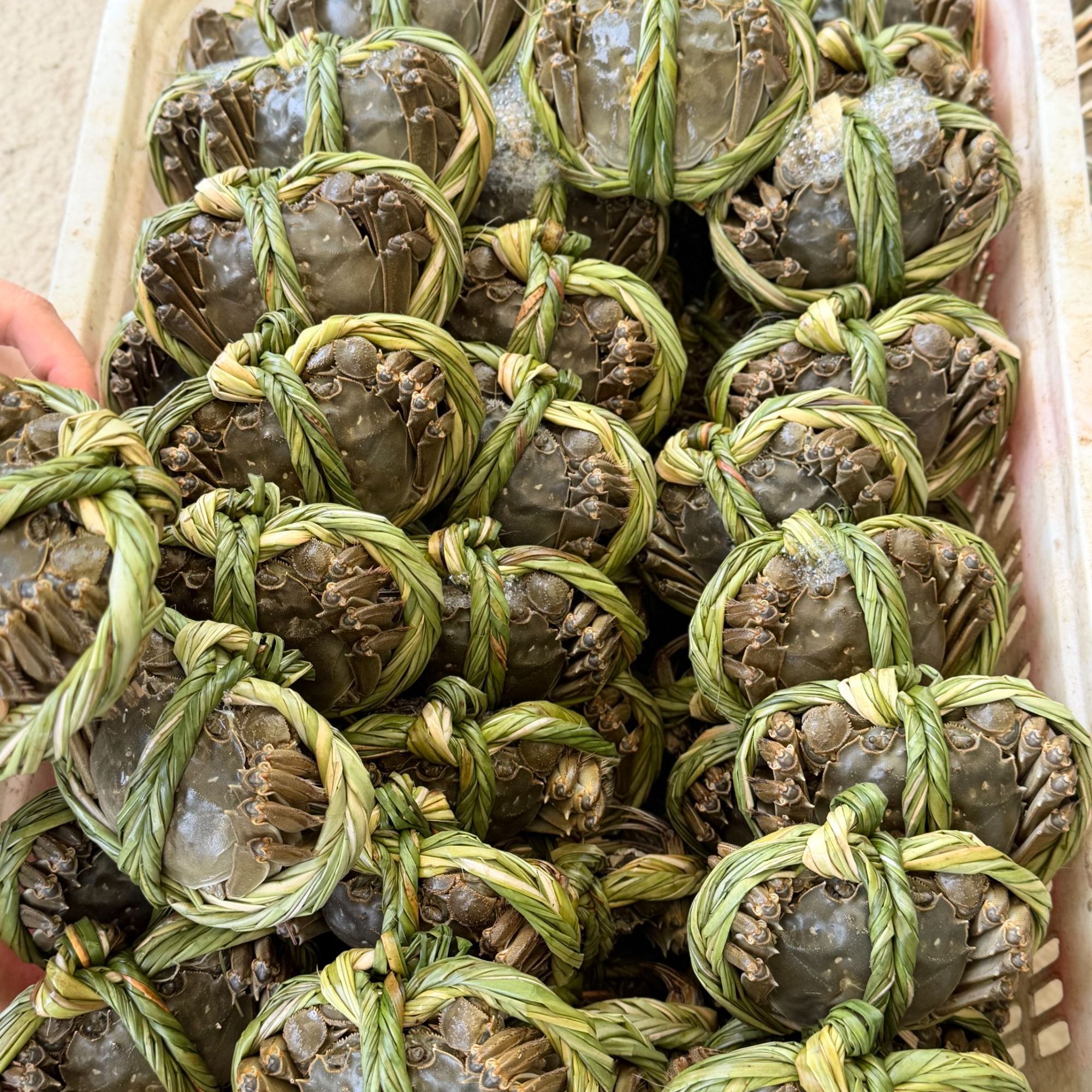 【活蟹现发】江苏大螃蟹精品一箱