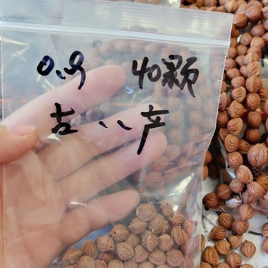 古***产木质类纯野生原生态龙纹籽