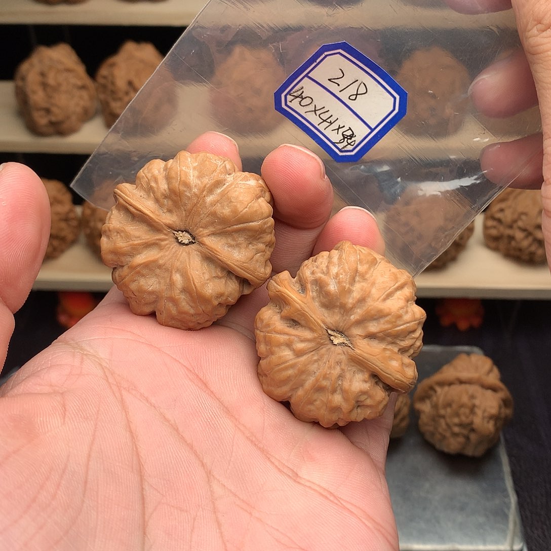 手***9核桃蛤蟆头218米38尺