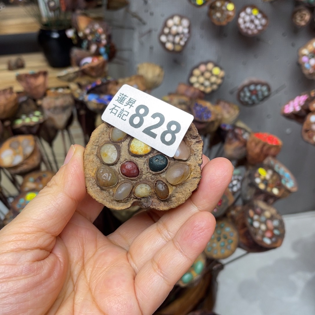 核桃木/黑胡桃（胡桃木）夏*828