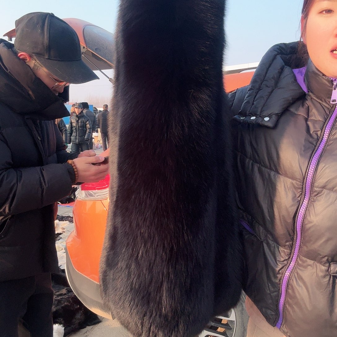 直播间下单狐狸王马甲黑色