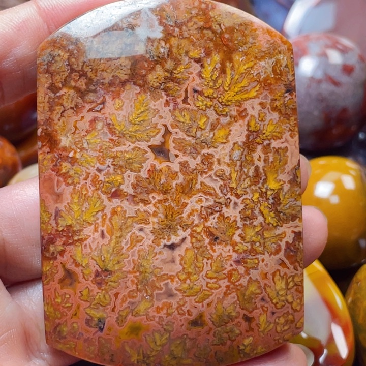 玛瑙/玉髓战国红玛瑙挂件未镶嵌唐*爷