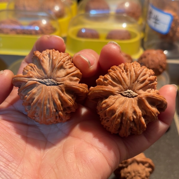 文玩核桃把件全品白狮头45