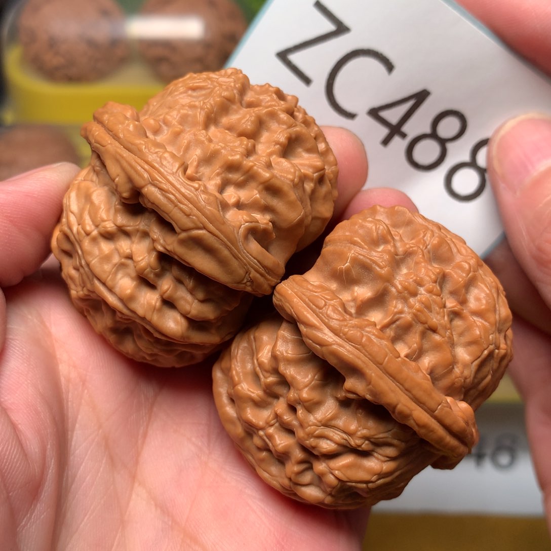 文玩核桃把件毕业粗筋红皮球白45