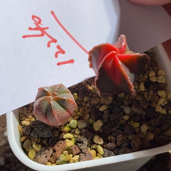 12240一组一组一组