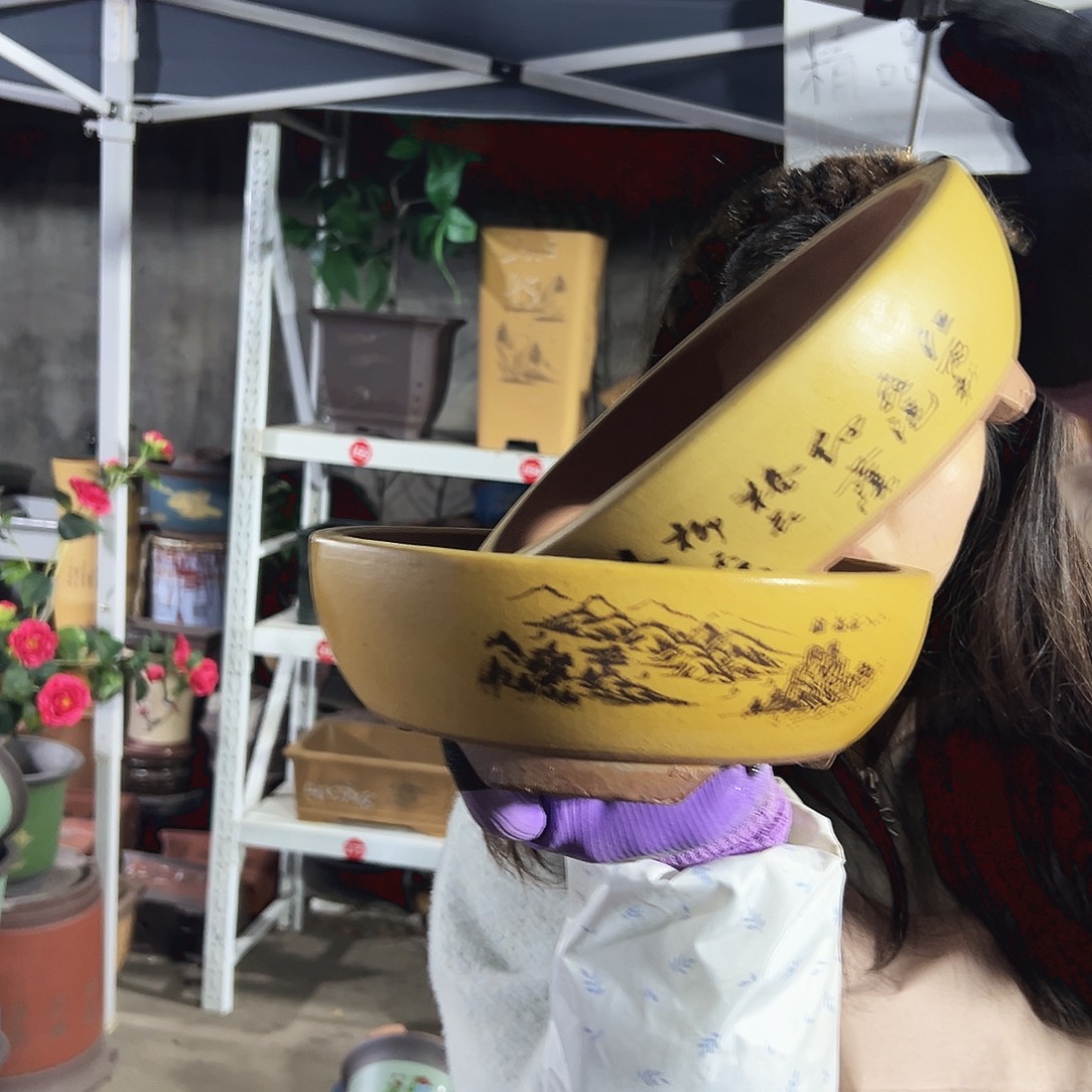 黄色江山如画小号一对