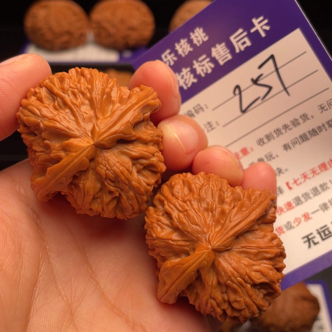 文玩核桃把件白狮子41尺