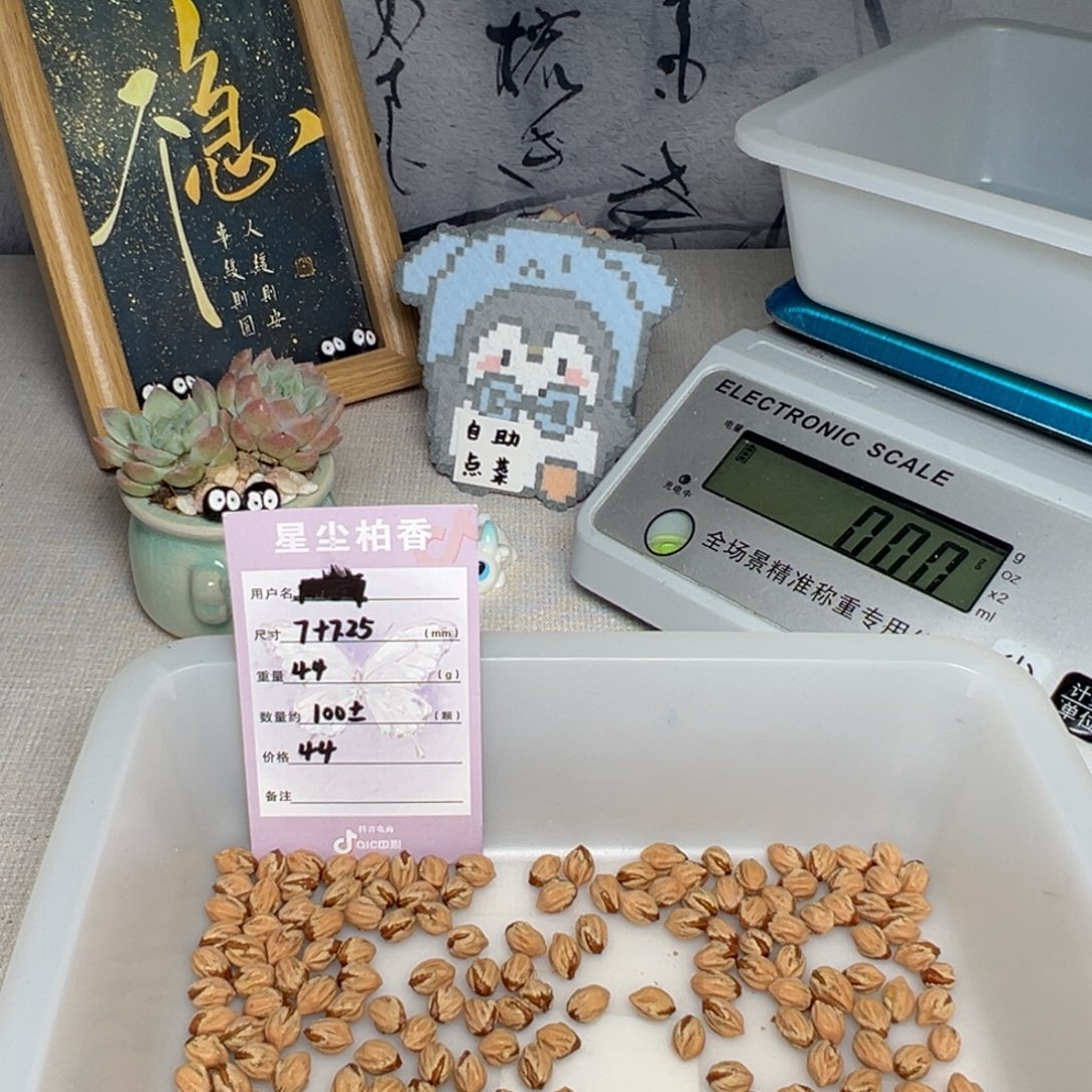 妖***柏香籽/百香籽吊坠