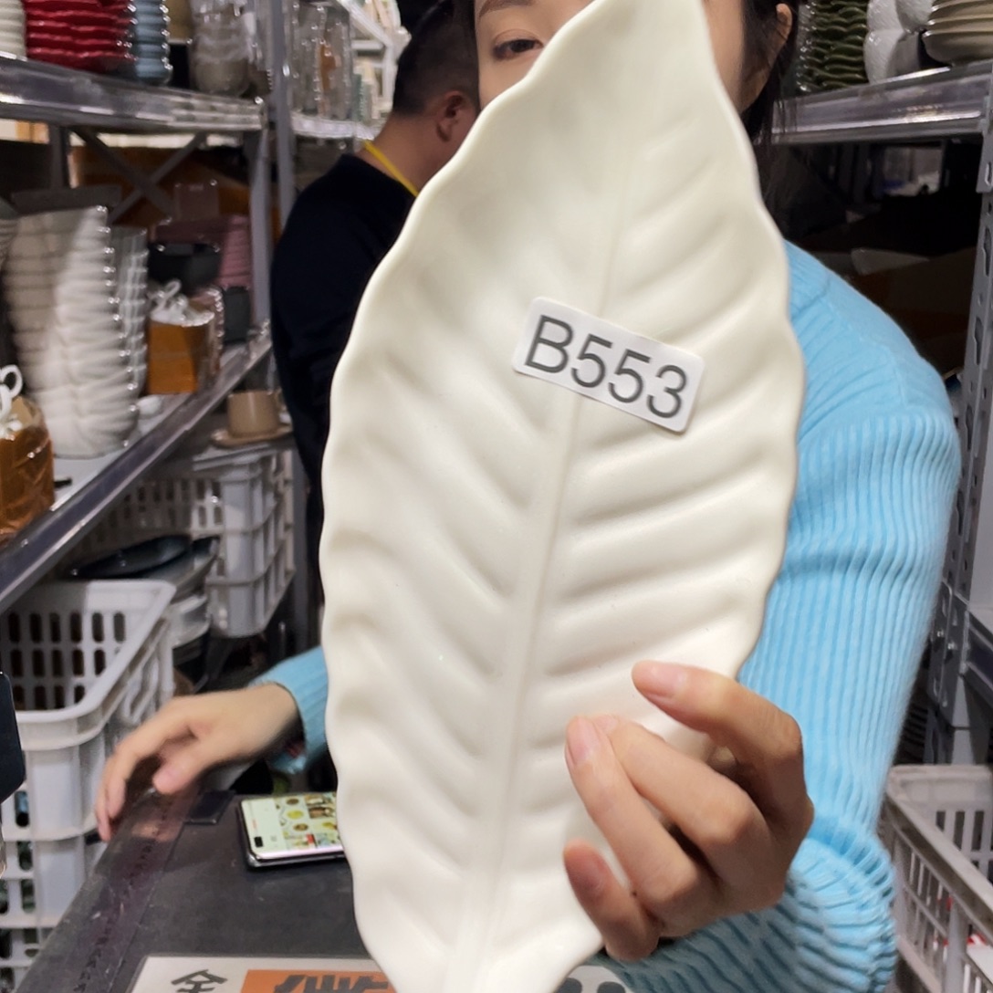 瓷片553                2个