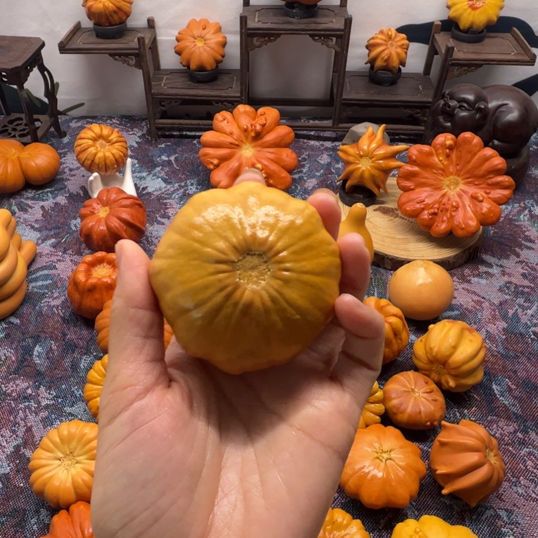 墨西哥葫芦双色扁南瓜