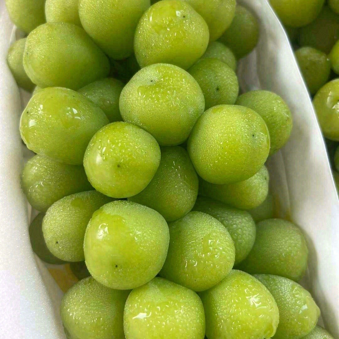 晴王纯甜多汁好吃江苏省