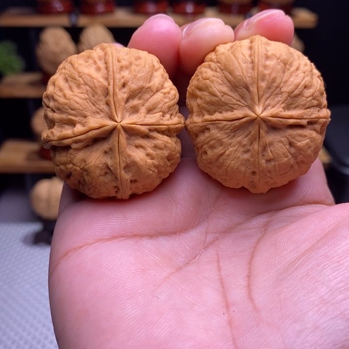 木质类云铁凹江龙四棱6号