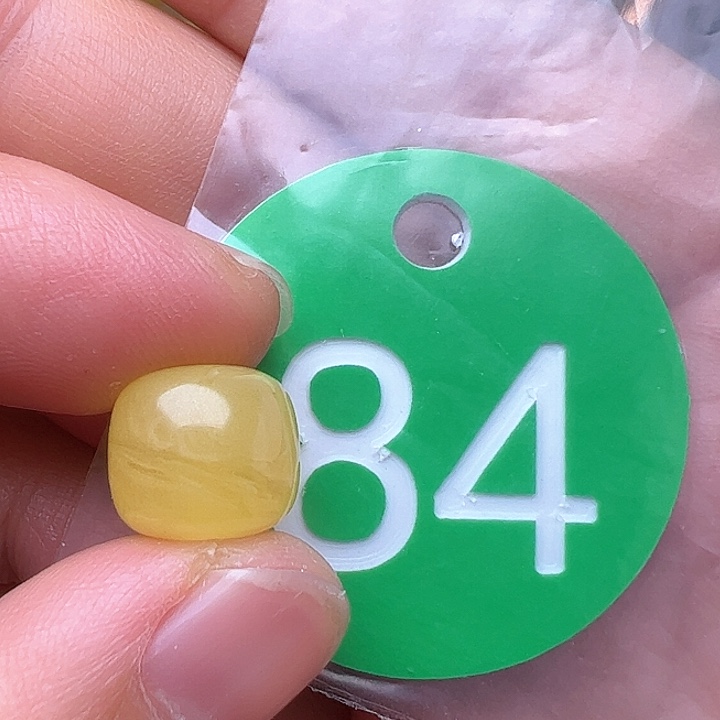 蜜蜡裸石未镶嵌、****?11m m