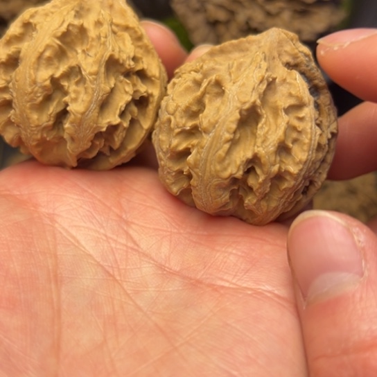 文玩核桃把件秦岭核桃17