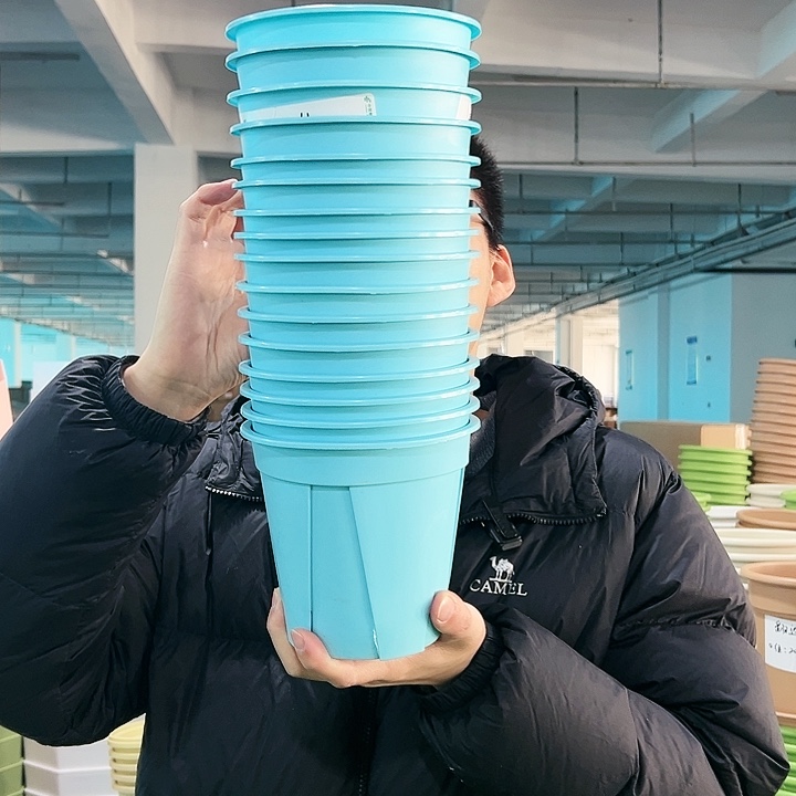 清仓青山口15高14蓝色无托12只