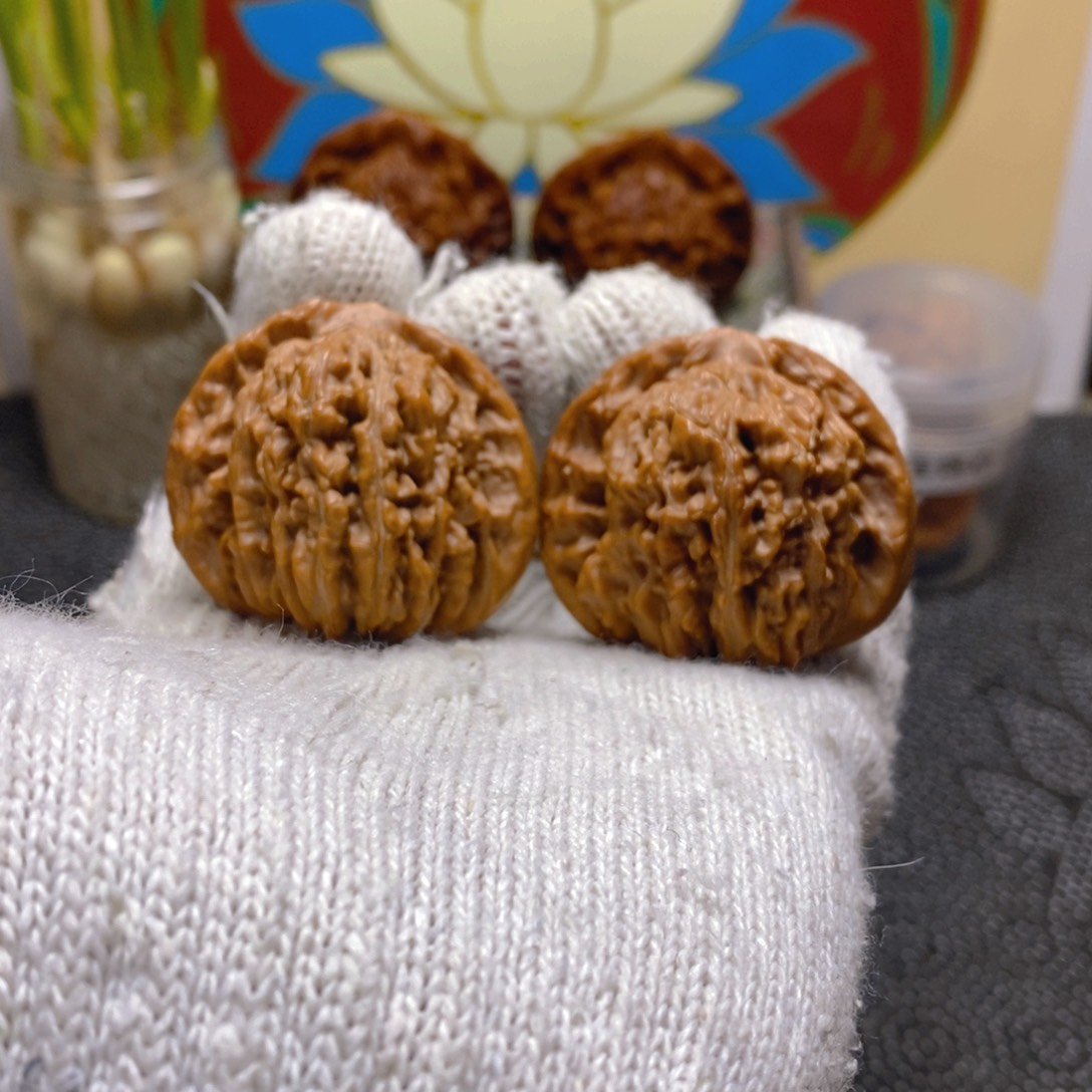 核桃42尺熊儿寨一代楼