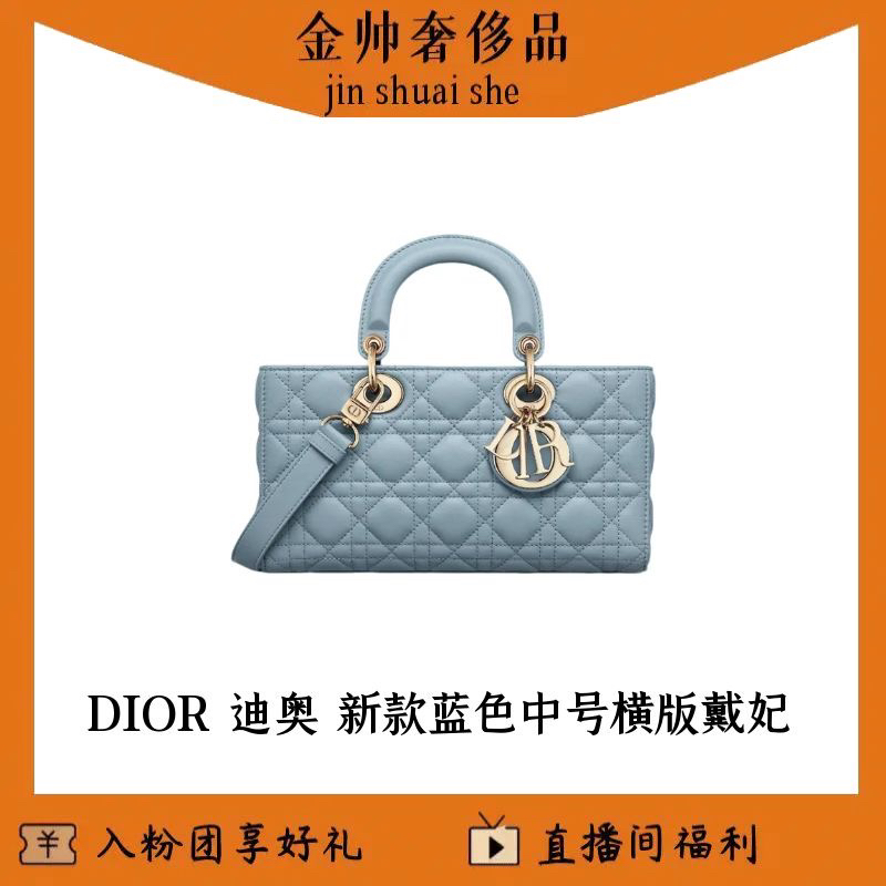 99新 DIOR/迪奥 新款蓝色/中号/横版托特/戴妃/单肩包t/B5177