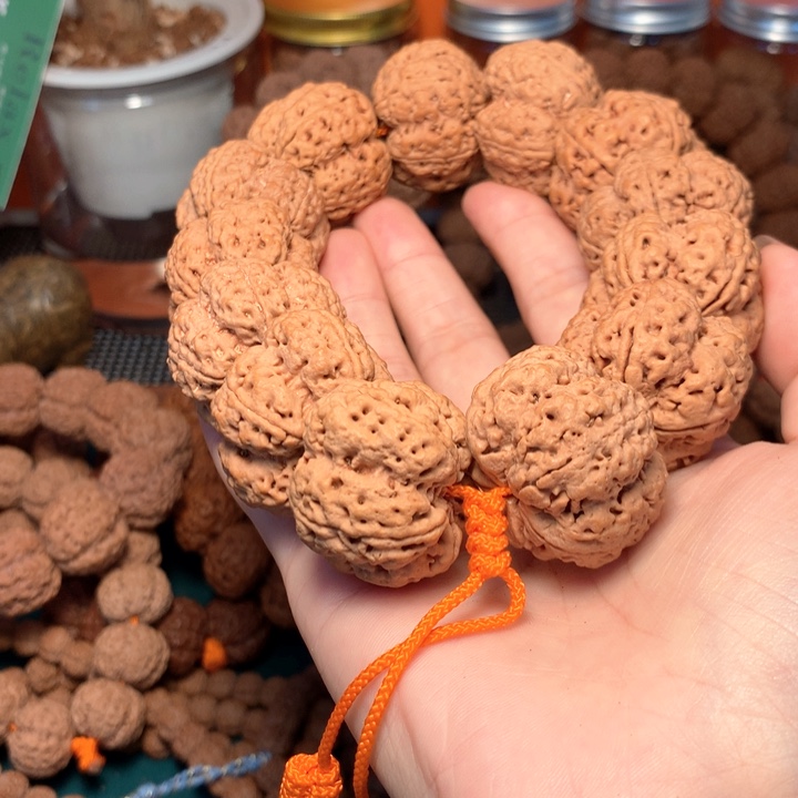 玉***龙手串金刚菩提31-32尺寸天宫大梅花次超头