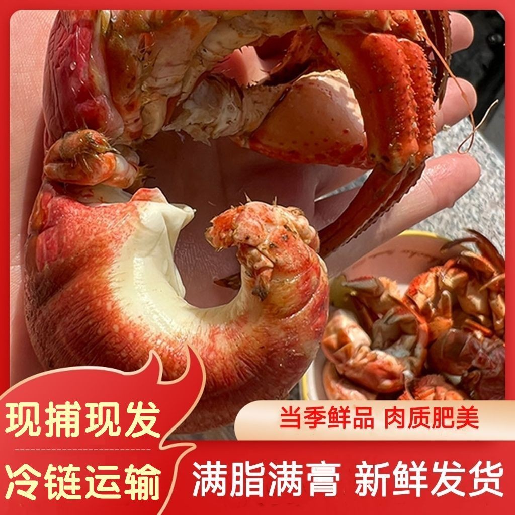 纯猫眼螺虾怪，寄居蟹保鲜不保活，介意慎拍，顺丰包邮