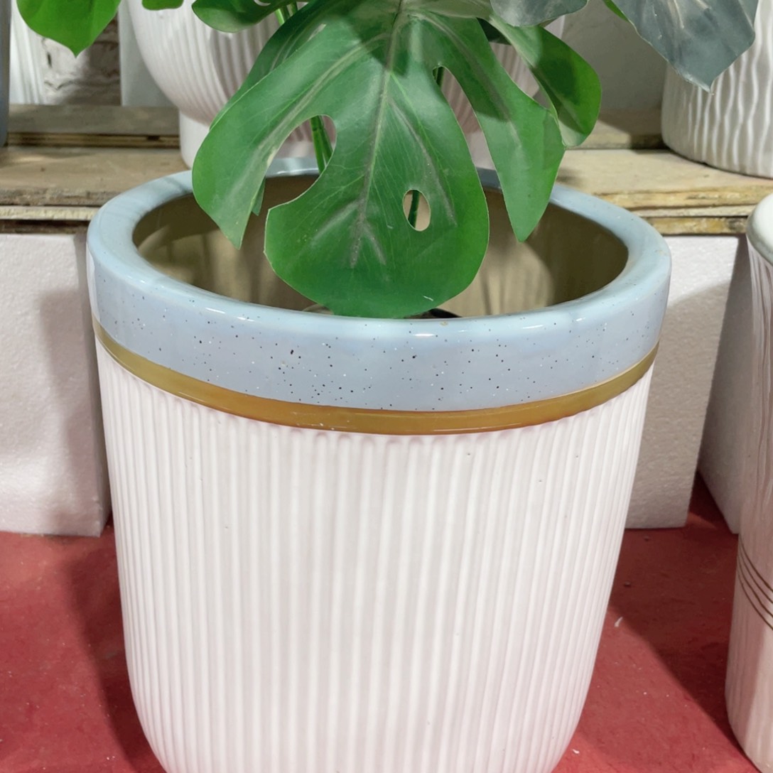 中号金线竖纹26口33高正常品微瑕