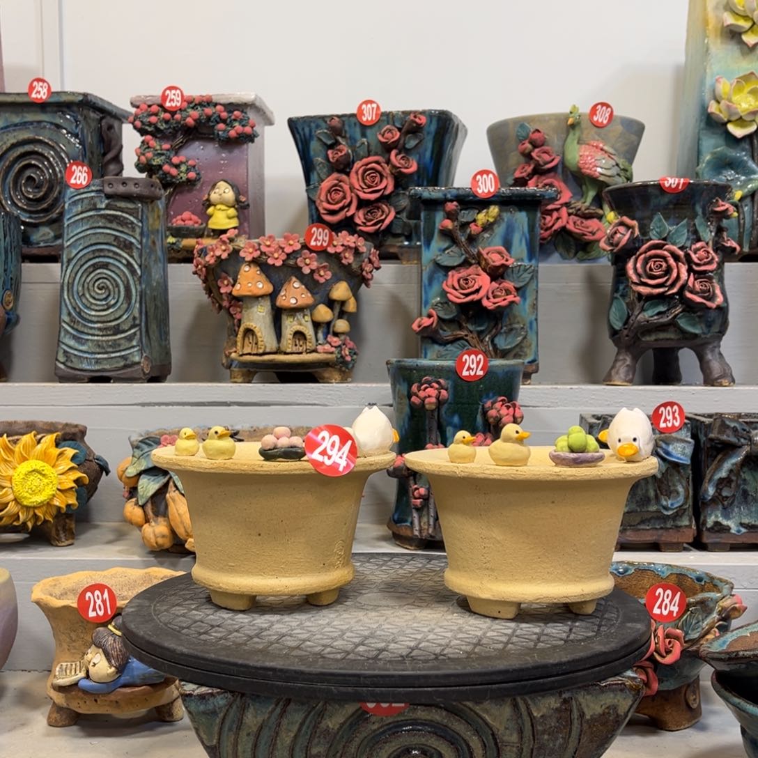 陶瓷294 陶然花盆新年福利