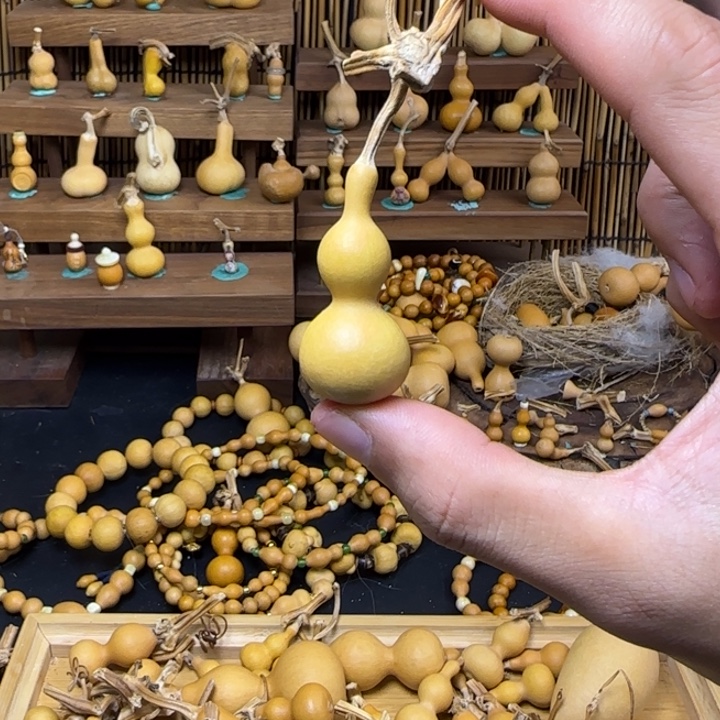 ****烦恼你烦恼放假放假过年感冒