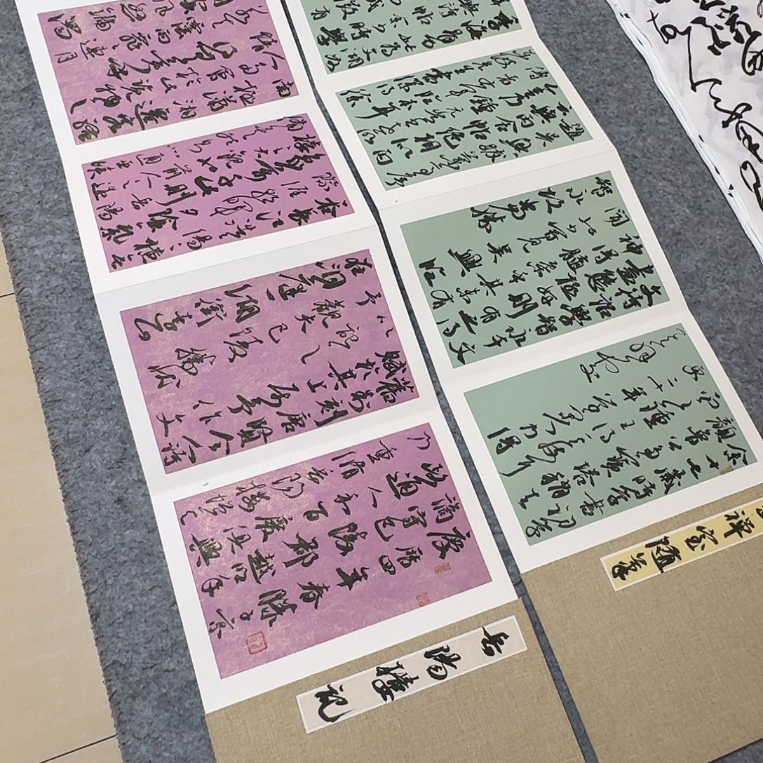 介***居书法国展书家文俊300×32×2