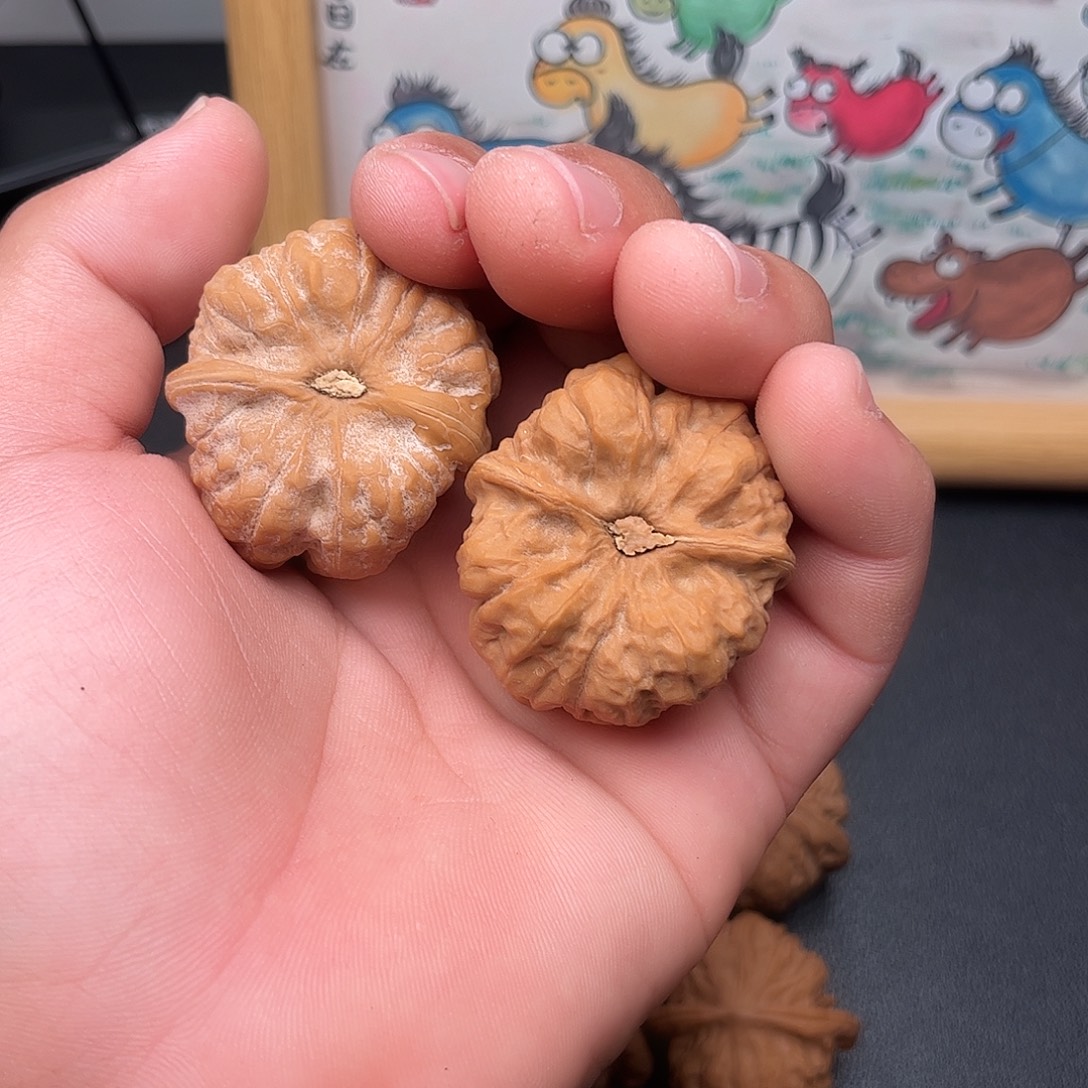 蛤蟆头37.5，，，，，，，，