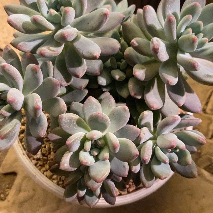 吃****888888888888888888