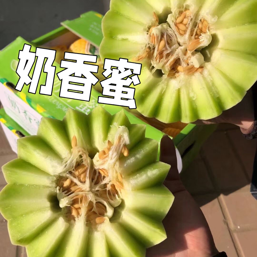 奶香蜜绿心甜瓜 3斤左右