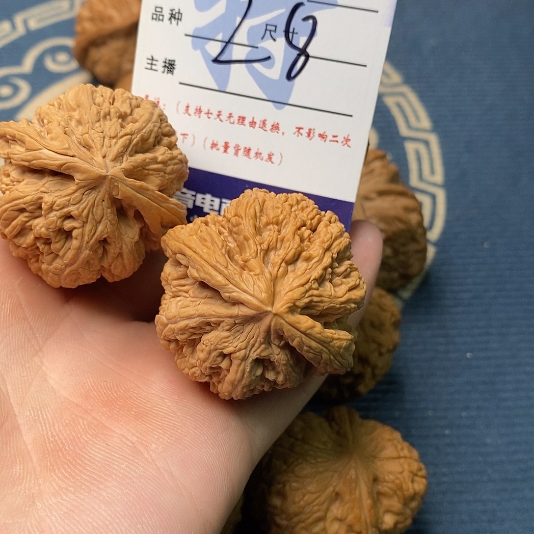 大粗筋哈哈哈哈哈哈哈哈哈哈哈