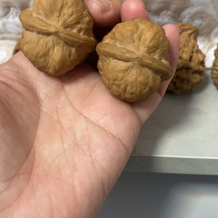 核桃手串/手链古蟾