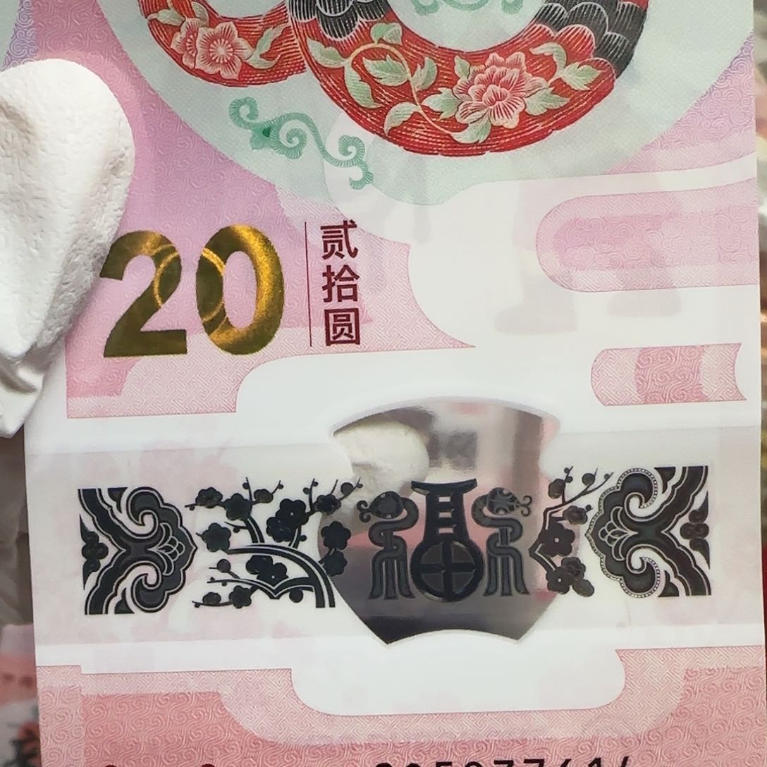 塑料2025年蛇年纪念钞乱蛇