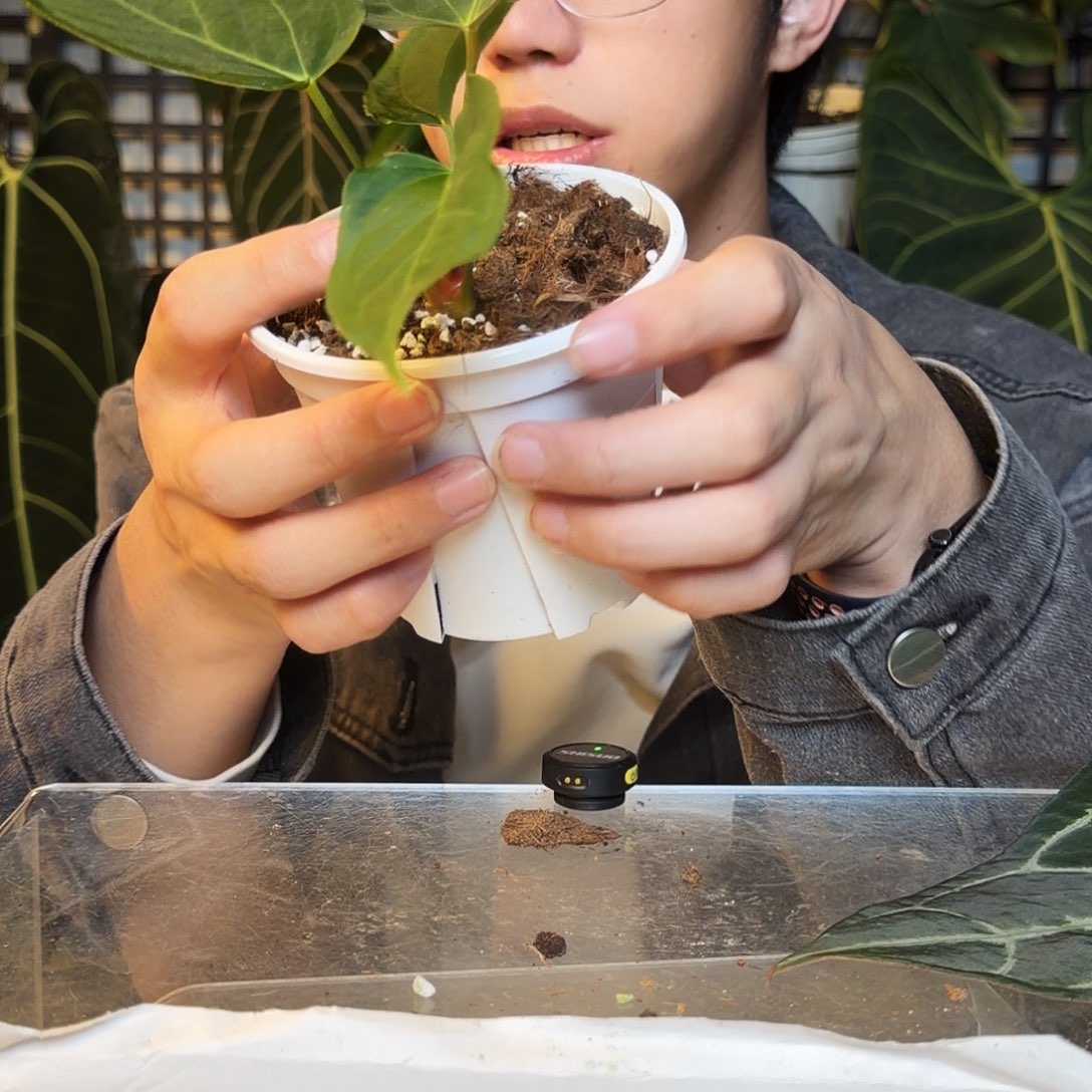 完全开放O175 Kos杂