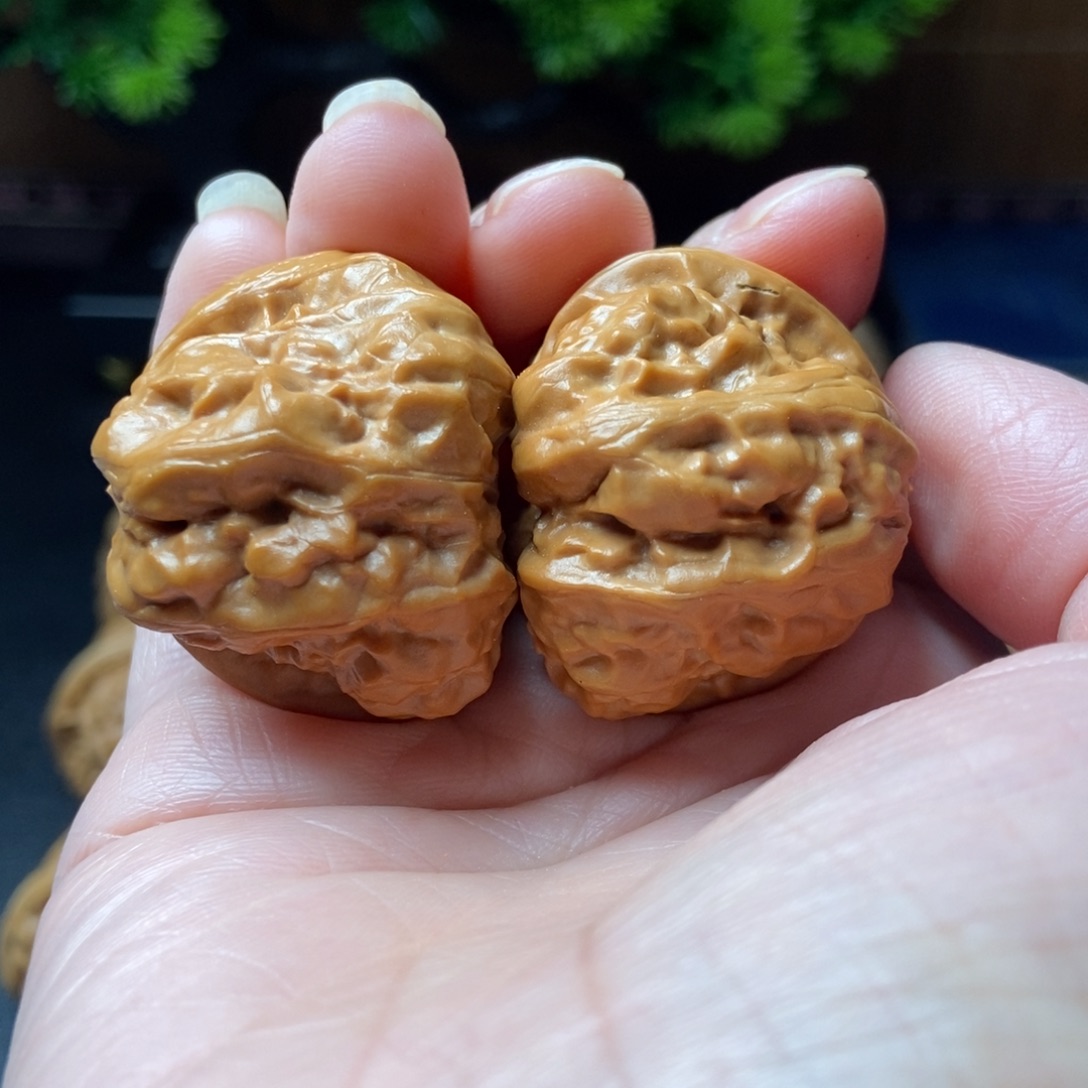 ****）文玩核桃把件蛤蟆头