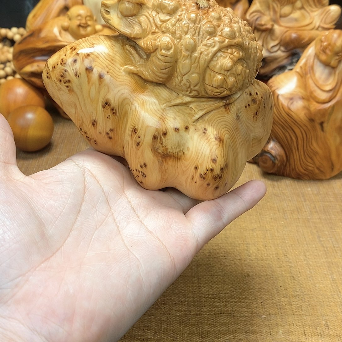 柏木（崖柏）一物一图